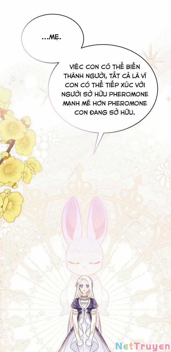 Quan Hệ Cộng Sinh Giữa Hắc Báo Và Bạch Thỏ 67 trang 50