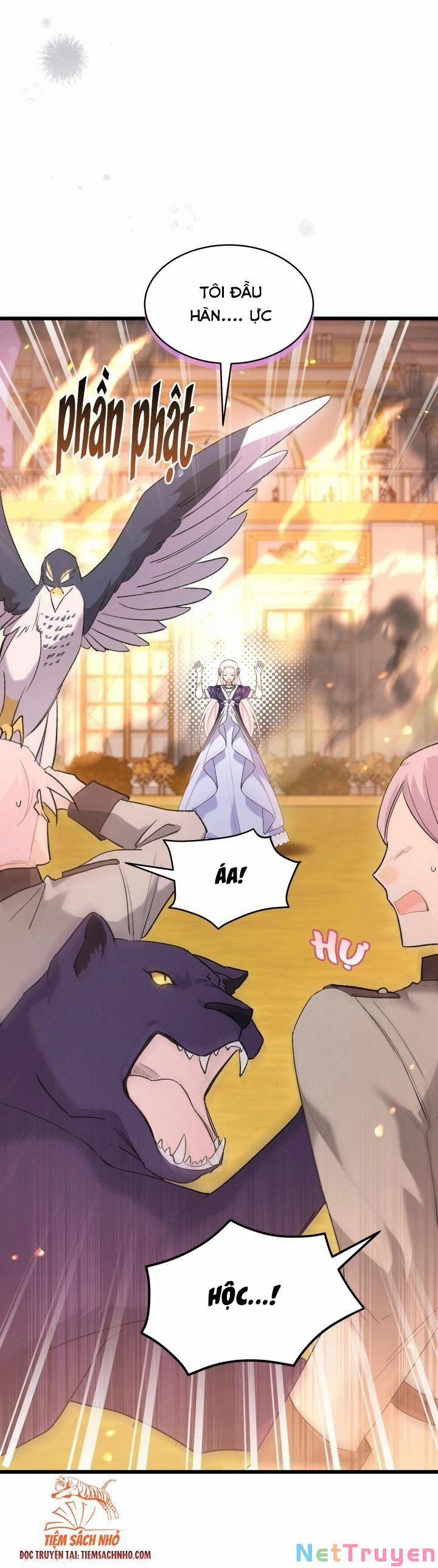 Quan Hệ Cộng Sinh Giữa Hắc Báo Và Bạch Thỏ 68 trang 26