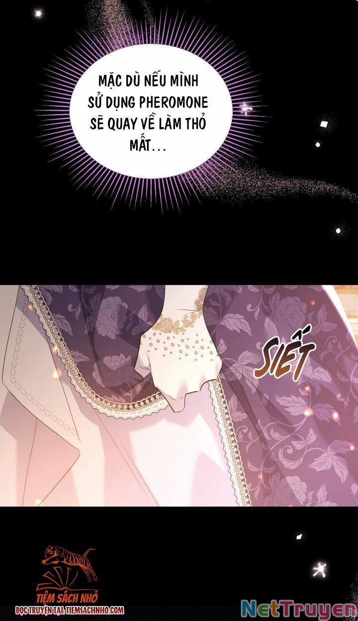 Quan Hệ Cộng Sinh Giữa Hắc Báo Và Bạch Thỏ 68 trang 35