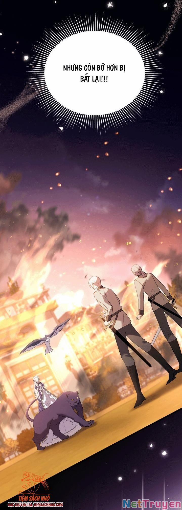 Quan Hệ Cộng Sinh Giữa Hắc Báo Và Bạch Thỏ 68 trang 36