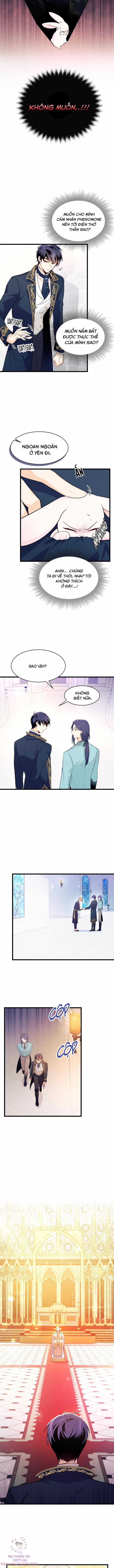 Quan Hệ Cộng Sinh Giữa Hắc Báo Và Bạch Thỏ 7 trang 1