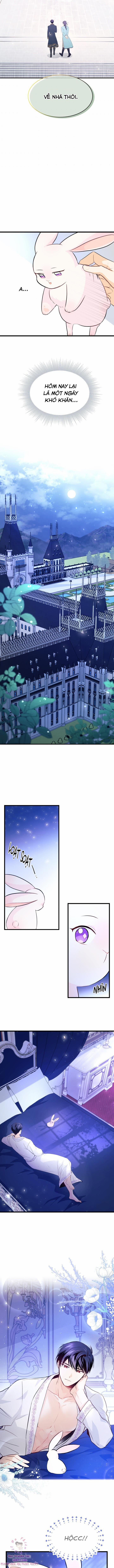 Quan Hệ Cộng Sinh Giữa Hắc Báo Và Bạch Thỏ 7 trang 11