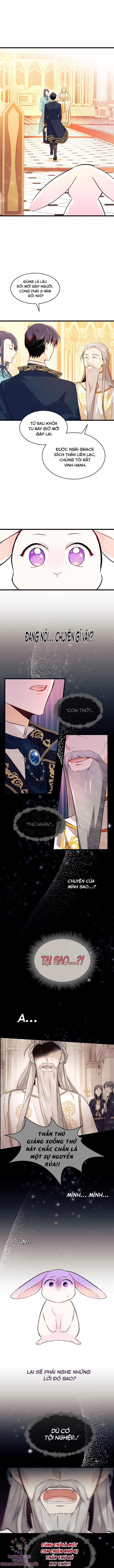 Quan Hệ Cộng Sinh Giữa Hắc Báo Và Bạch Thỏ 7 trang 3