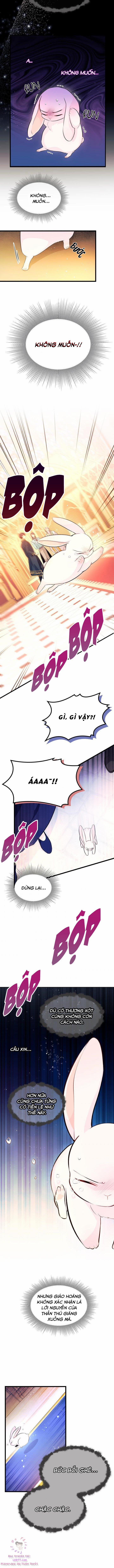 Quan Hệ Cộng Sinh Giữa Hắc Báo Và Bạch Thỏ 7 trang 4