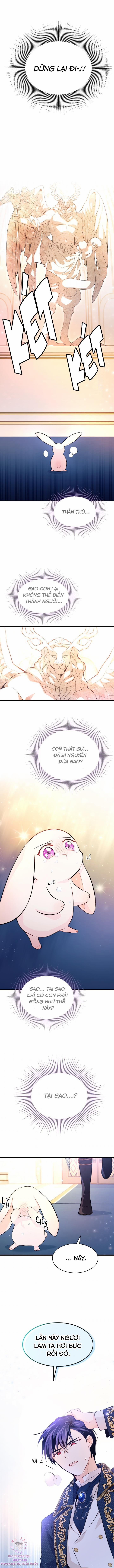 Quan Hệ Cộng Sinh Giữa Hắc Báo Và Bạch Thỏ 7 trang 5