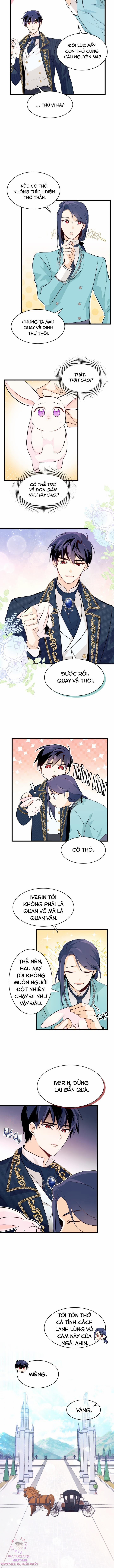 Quan Hệ Cộng Sinh Giữa Hắc Báo Và Bạch Thỏ 7 trang 7