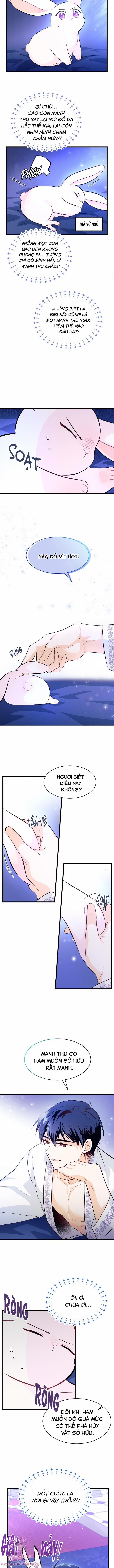 Quan Hệ Cộng Sinh Giữa Hắc Báo Và Bạch Thỏ 7 trang 9