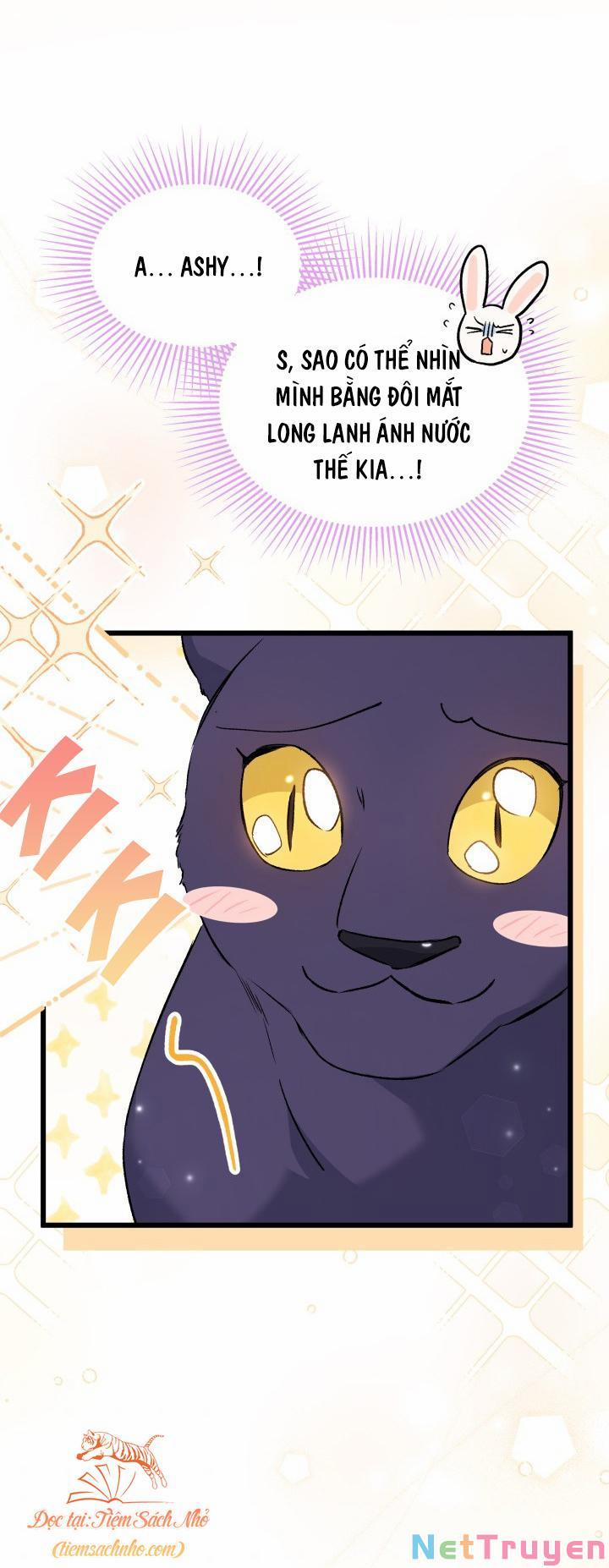 Quan Hệ Cộng Sinh Giữa Hắc Báo Và Bạch Thỏ 72 trang 48