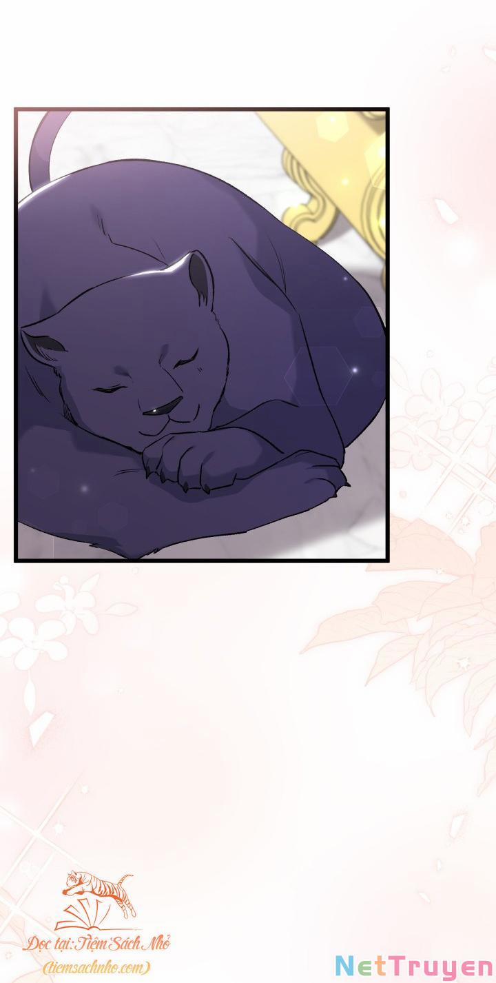 Quan Hệ Cộng Sinh Giữa Hắc Báo Và Bạch Thỏ 72 trang 58