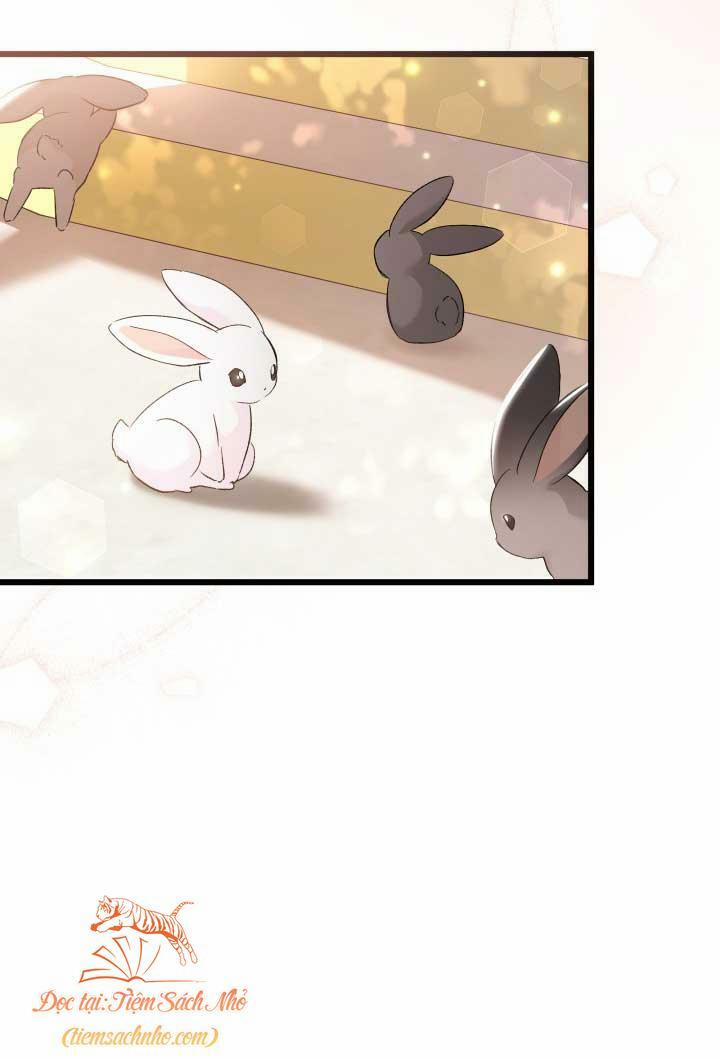 Quan Hệ Cộng Sinh Giữa Hắc Báo Và Bạch Thỏ 75 trang 38