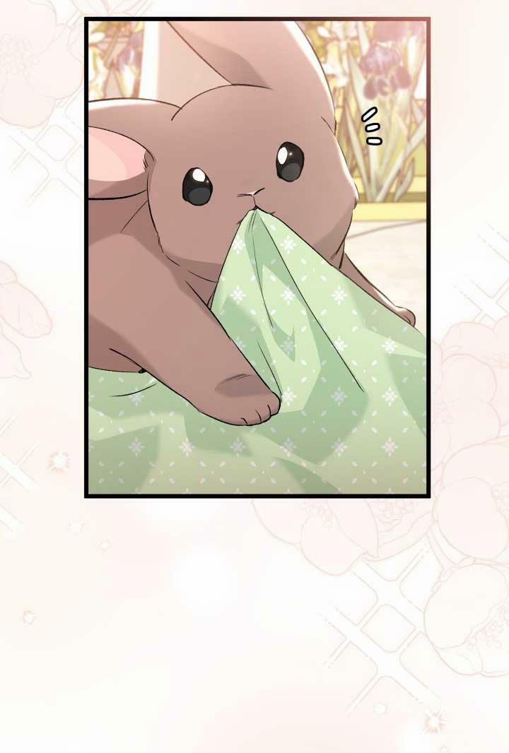 Quan Hệ Cộng Sinh Giữa Hắc Báo Và Bạch Thỏ 75 trang 81