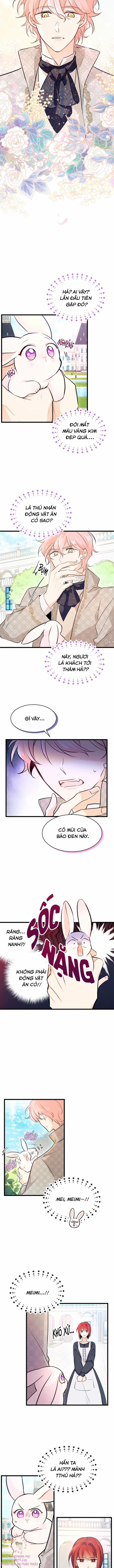 Quan Hệ Cộng Sinh Giữa Hắc Báo Và Bạch Thỏ 8 trang 10