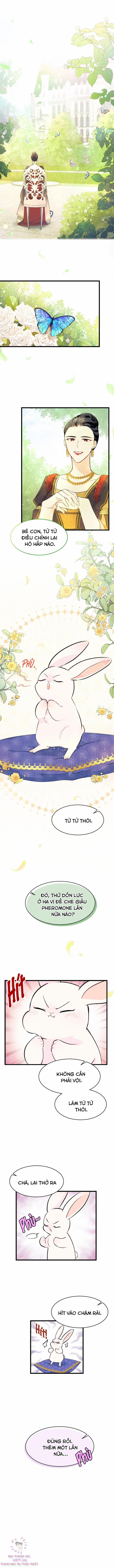 Quan Hệ Cộng Sinh Giữa Hắc Báo Và Bạch Thỏ 8 trang 3