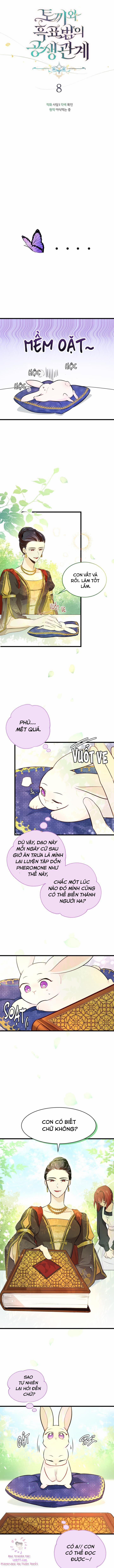 Quan Hệ Cộng Sinh Giữa Hắc Báo Và Bạch Thỏ 8 trang 4