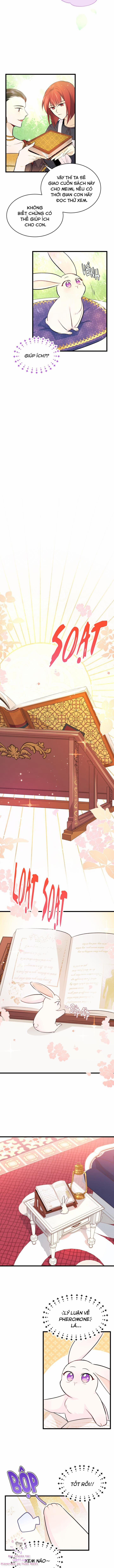 Quan Hệ Cộng Sinh Giữa Hắc Báo Và Bạch Thỏ 8 trang 5