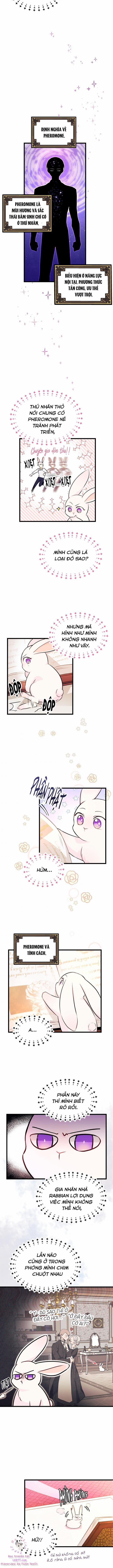 Quan Hệ Cộng Sinh Giữa Hắc Báo Và Bạch Thỏ 8 trang 6