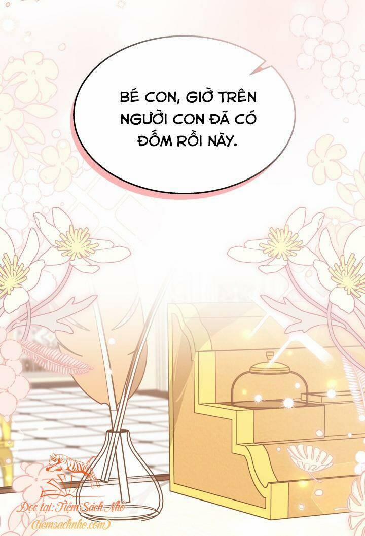 Quan Hệ Cộng Sinh Giữa Hắc Báo Và Bạch Thỏ 84 trang 1