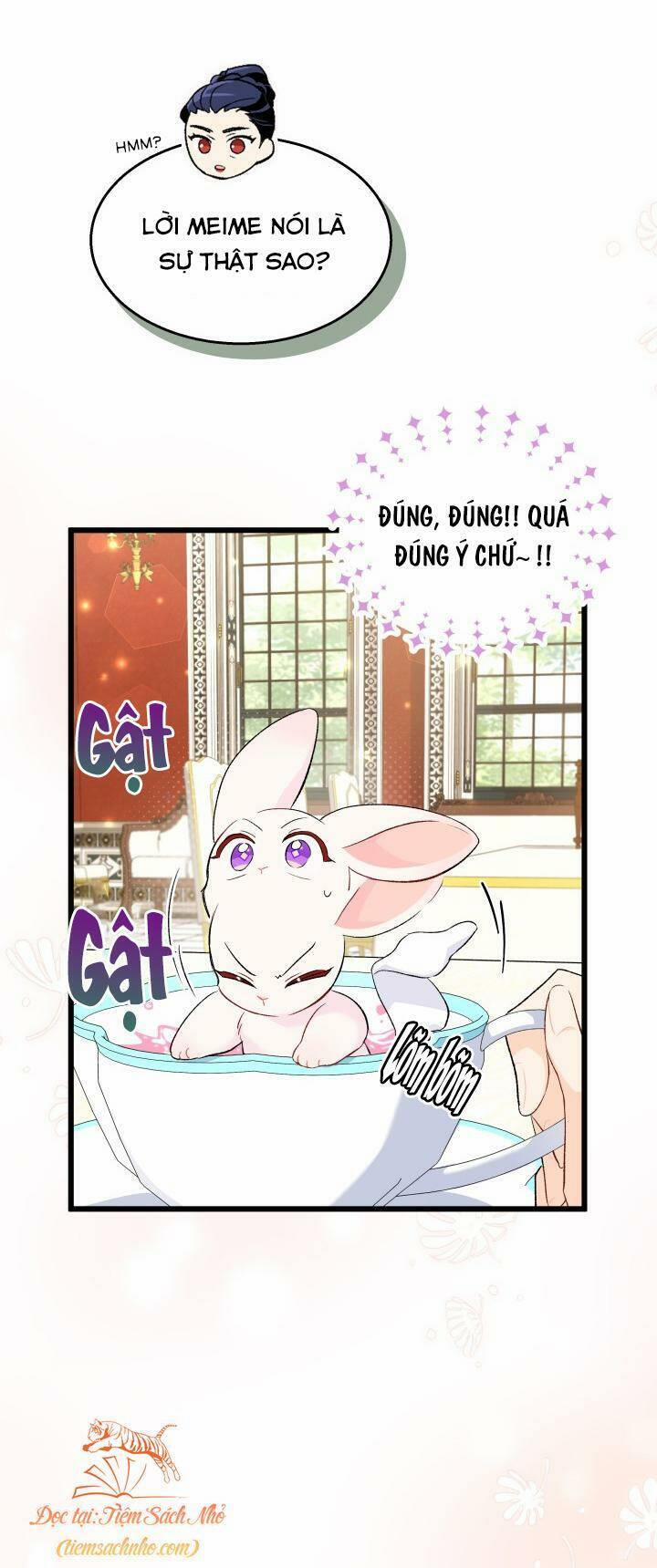 Quan Hệ Cộng Sinh Giữa Hắc Báo Và Bạch Thỏ 84 trang 14