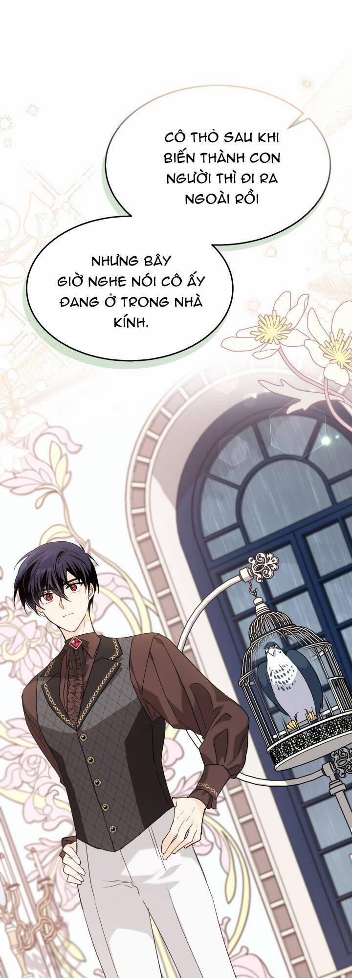 Quan Hệ Cộng Sinh Giữa Hắc Báo Và Bạch Thỏ 86 trang 37