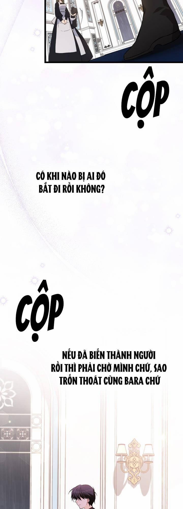 Quan Hệ Cộng Sinh Giữa Hắc Báo Và Bạch Thỏ 86 trang 43