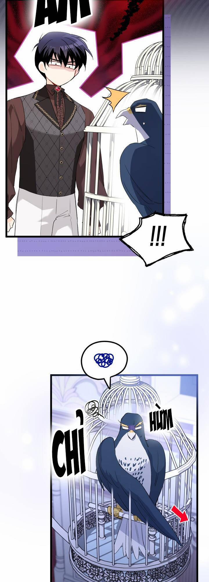 Quan Hệ Cộng Sinh Giữa Hắc Báo Và Bạch Thỏ 87 trang 6