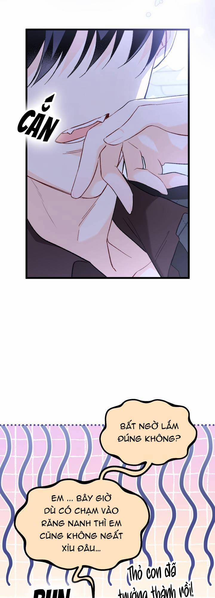 Quan Hệ Cộng Sinh Giữa Hắc Báo Và Bạch Thỏ 88 trang 36