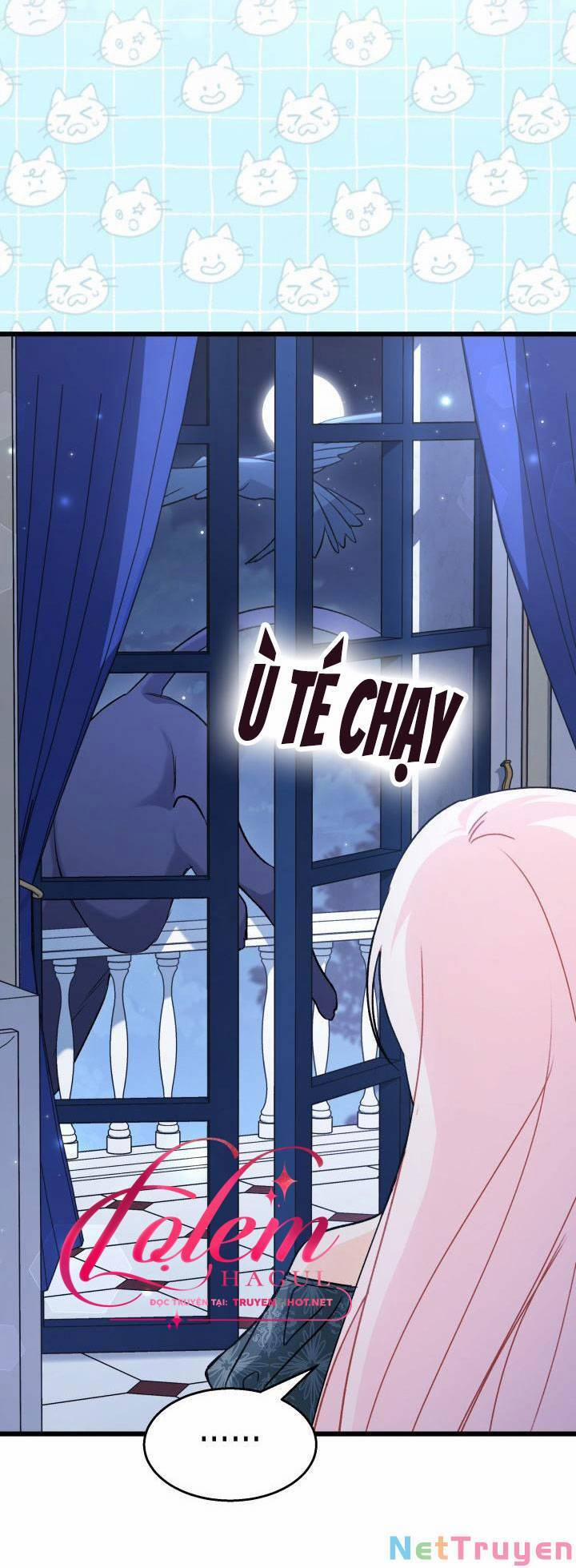 Quan Hệ Cộng Sinh Giữa Hắc Báo Và Bạch Thỏ 91 trang 49