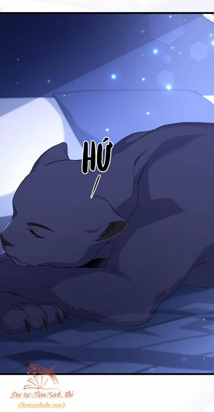 Quan Hệ Cộng Sinh Giữa Hắc Báo Và Bạch Thỏ 92 trang 10