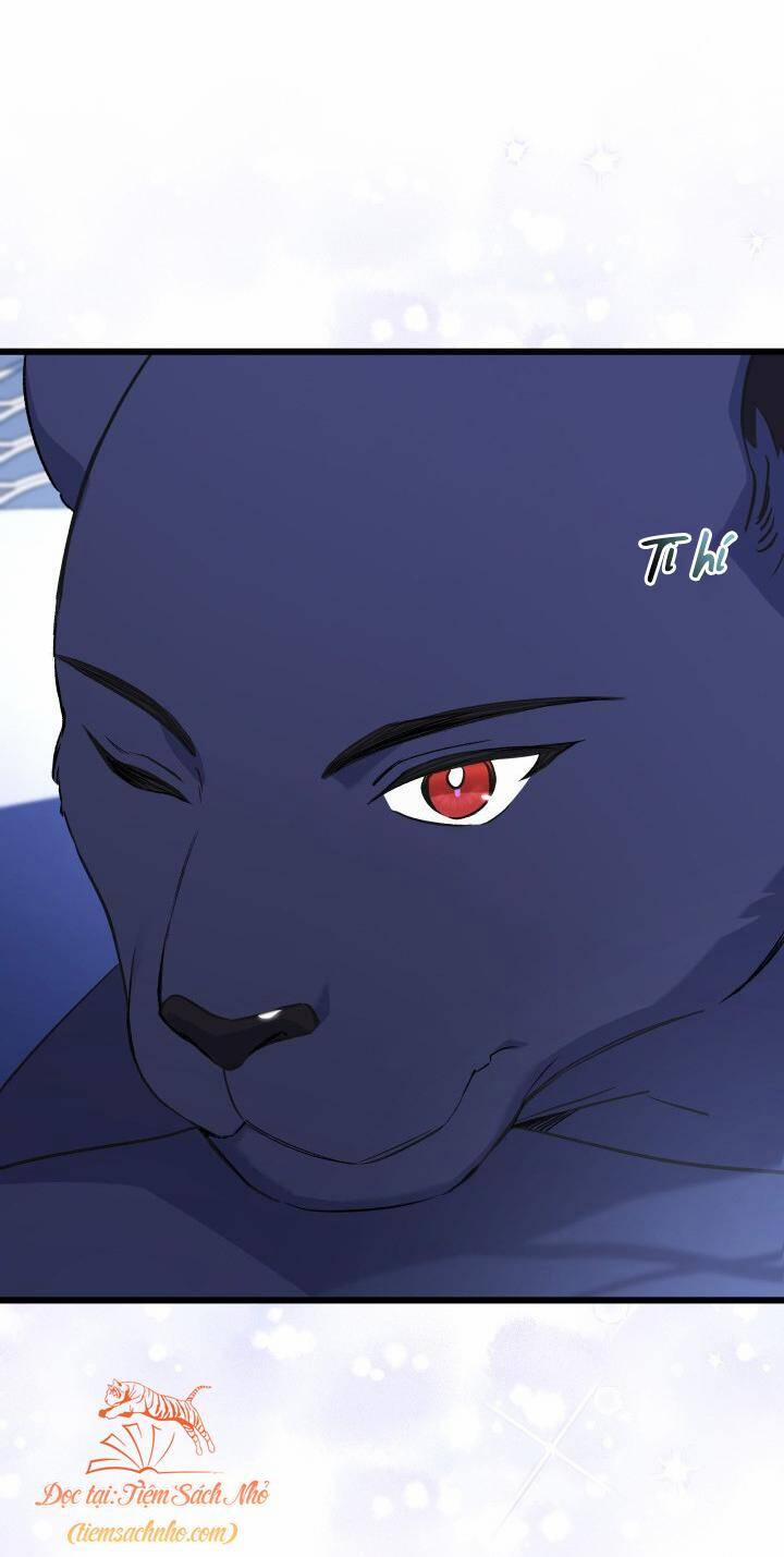 Quan Hệ Cộng Sinh Giữa Hắc Báo Và Bạch Thỏ 92 trang 13