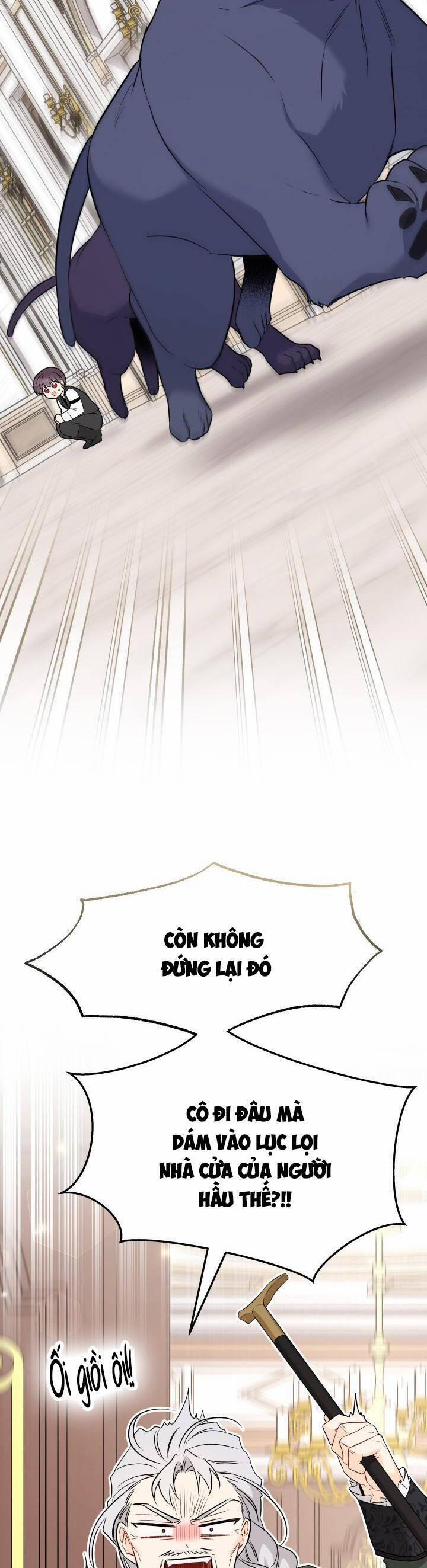 Quan Hệ Cộng Sinh Giữa Hắc Báo Và Bạch Thỏ 95 trang 44