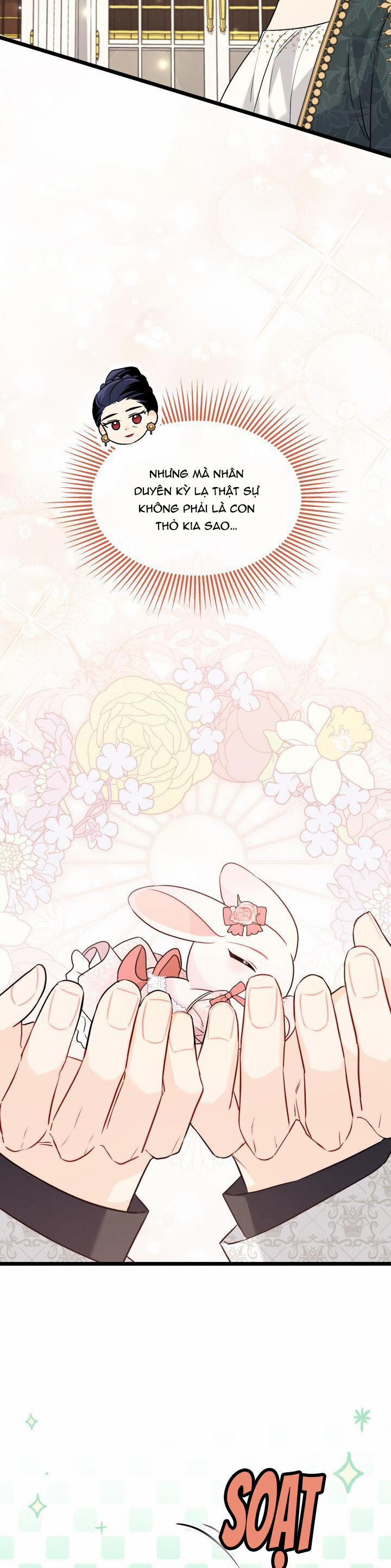 Quan Hệ Cộng Sinh Giữa Hắc Báo Và Bạch Thỏ 97 trang 19