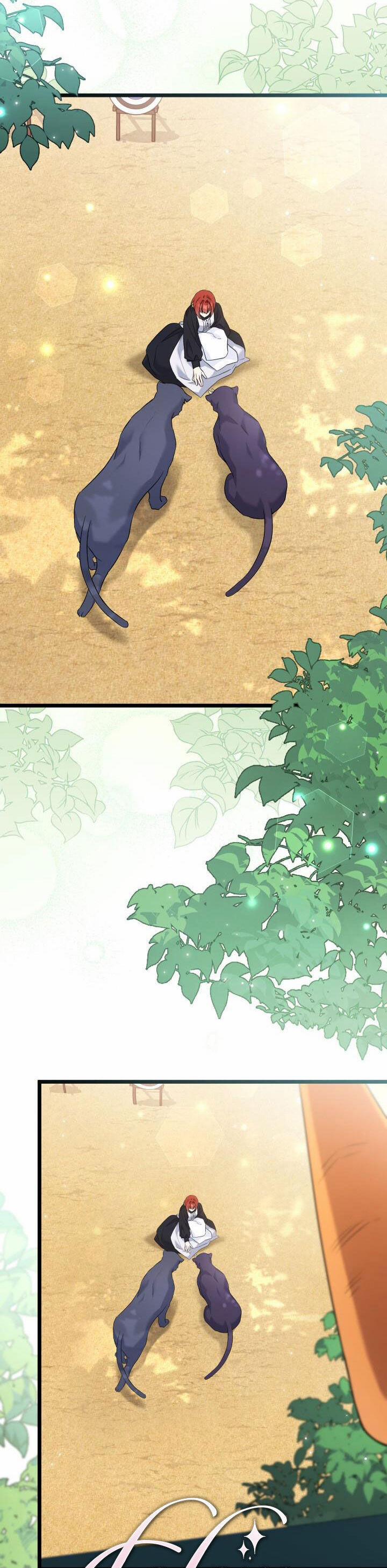 Quan Hệ Cộng Sinh Giữa Hắc Báo Và Bạch Thỏ 98 trang 12