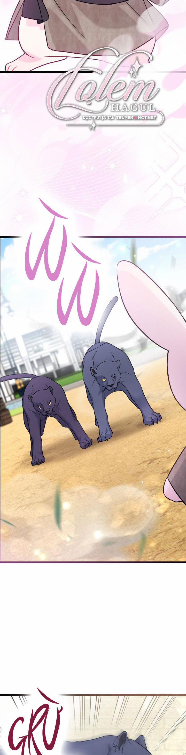 Quan Hệ Cộng Sinh Giữa Hắc Báo Và Bạch Thỏ 98 trang 3