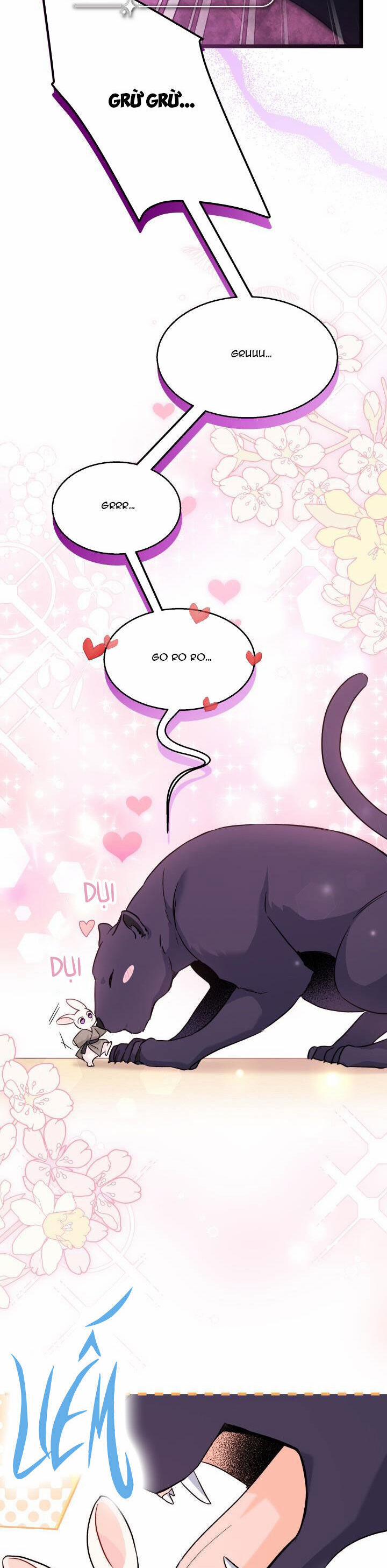 Quan Hệ Cộng Sinh Giữa Hắc Báo Và Bạch Thỏ 98 trang 8