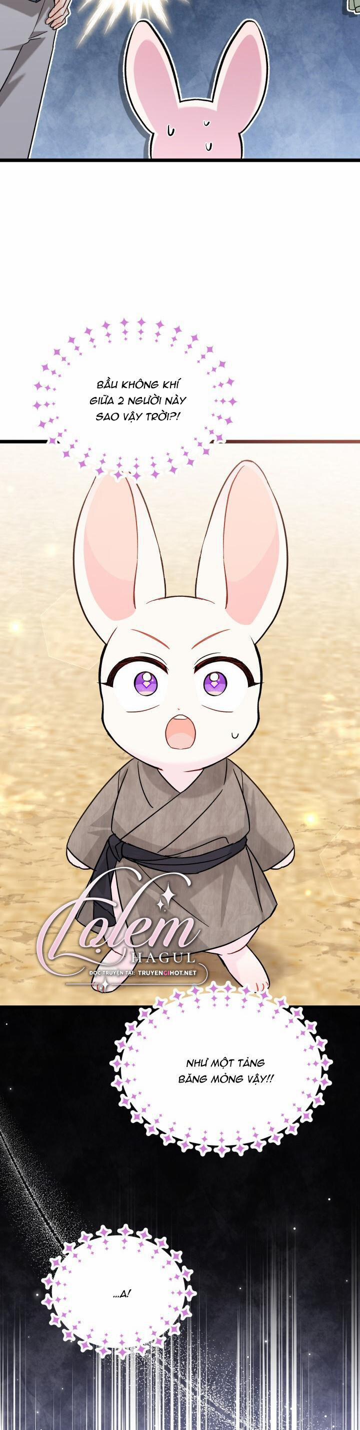 Quan Hệ Cộng Sinh Giữa Hắc Báo Và Bạch Thỏ 99 trang 10