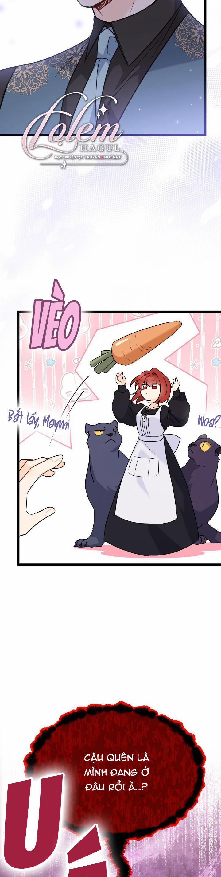 Quan Hệ Cộng Sinh Giữa Hắc Báo Và Bạch Thỏ 99 trang 17