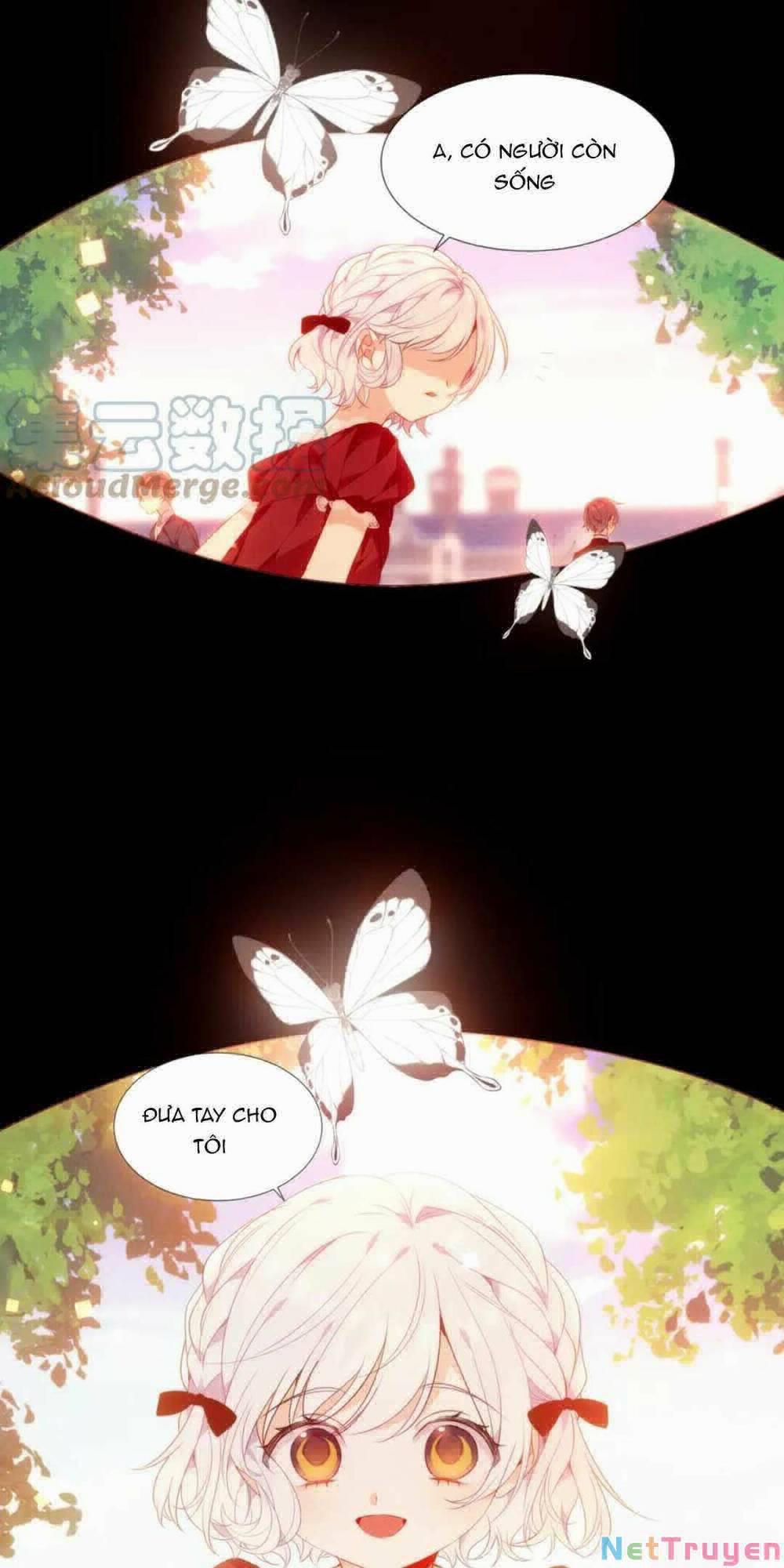 Quán Kịch Bản Trần Mộng 11 trang 2