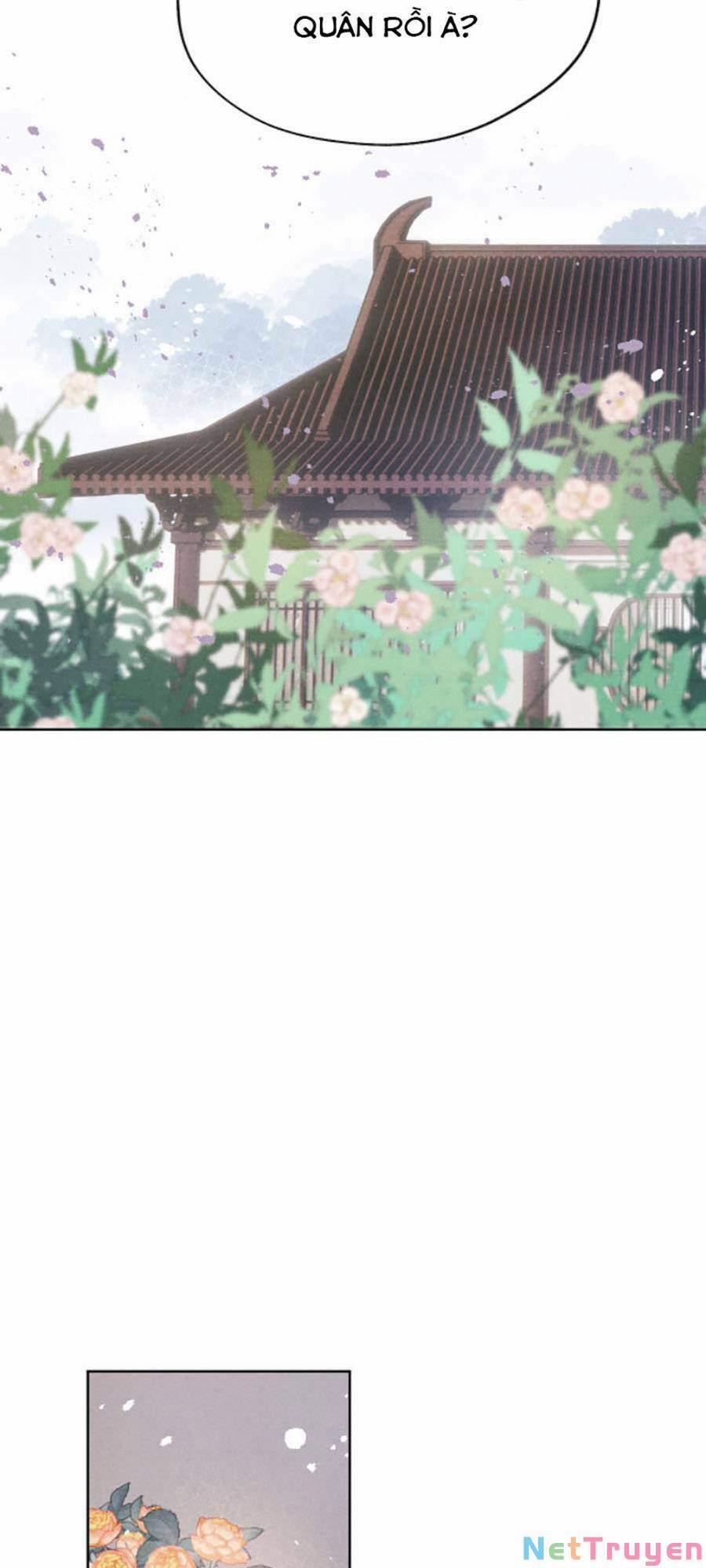 Quân Nhan Tựa Hoa Đào 31 trang 20