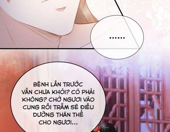 Quân Sủng Nan Vi 24 trang 11