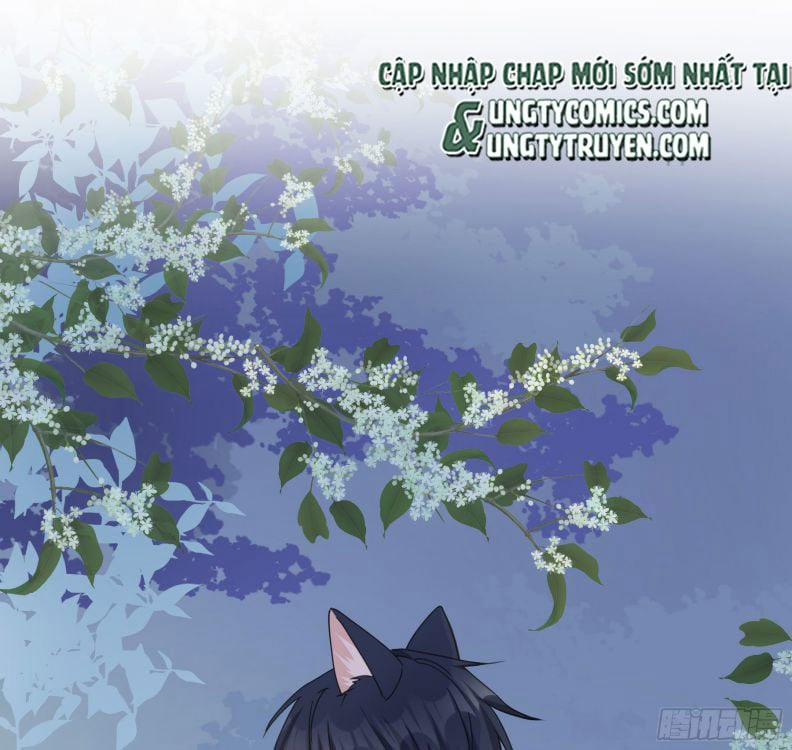 Quân Tâm Bất Lương 18 trang 24