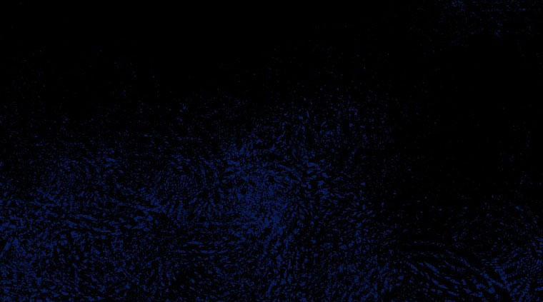 Quãng Đời Còn Lại Của Nữ Phụ Yểu Mệnh 22 trang 49