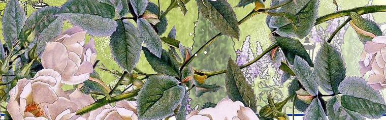 Quãng Đời Còn Lại Của Nữ Phụ Yểu Mệnh 38.5 trang 159