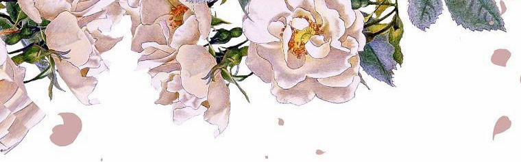 Quãng Đời Còn Lại Của Nữ Phụ Yểu Mệnh 38.5 trang 160