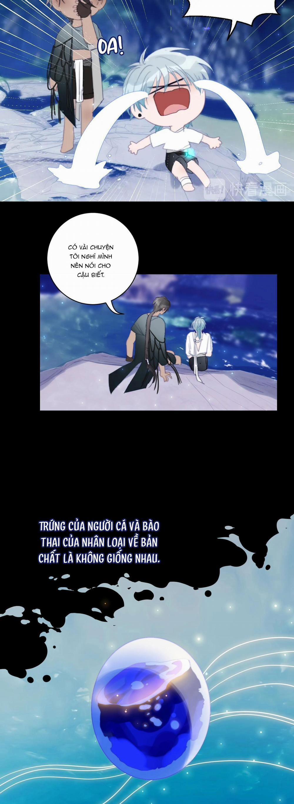 Quanh Năm Có Cá 23 trang 13