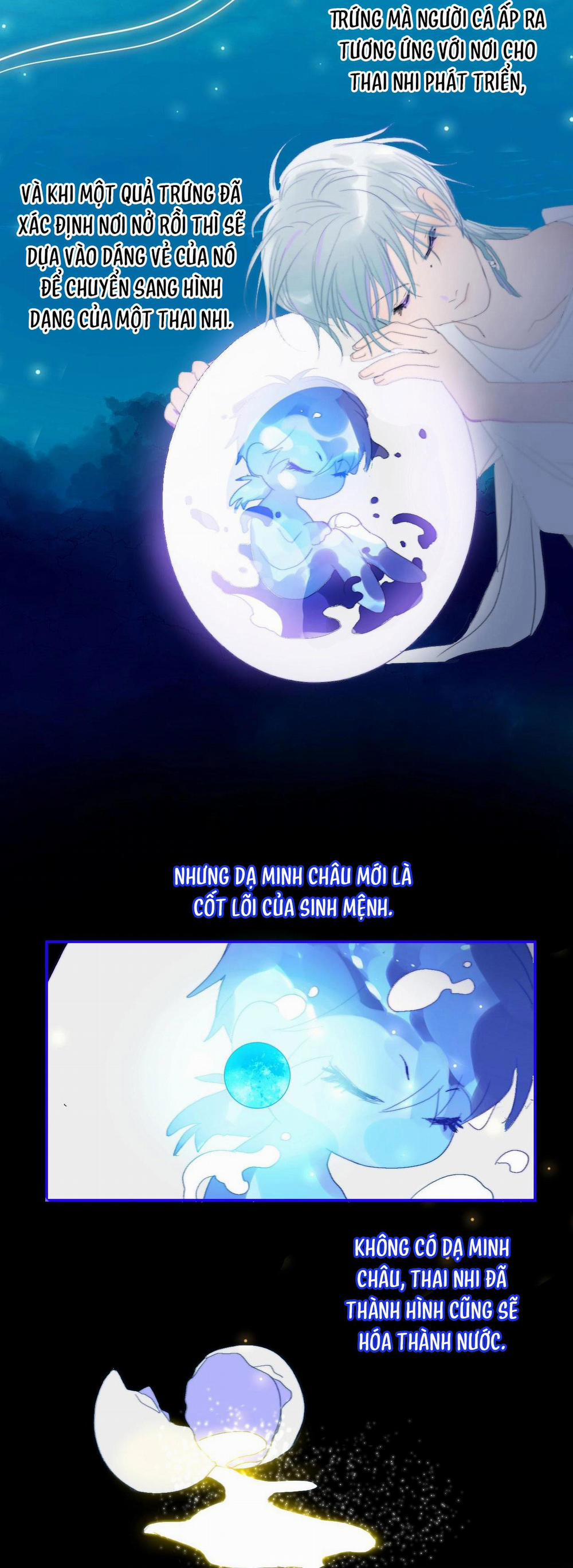 Quanh Năm Có Cá 23 trang 14