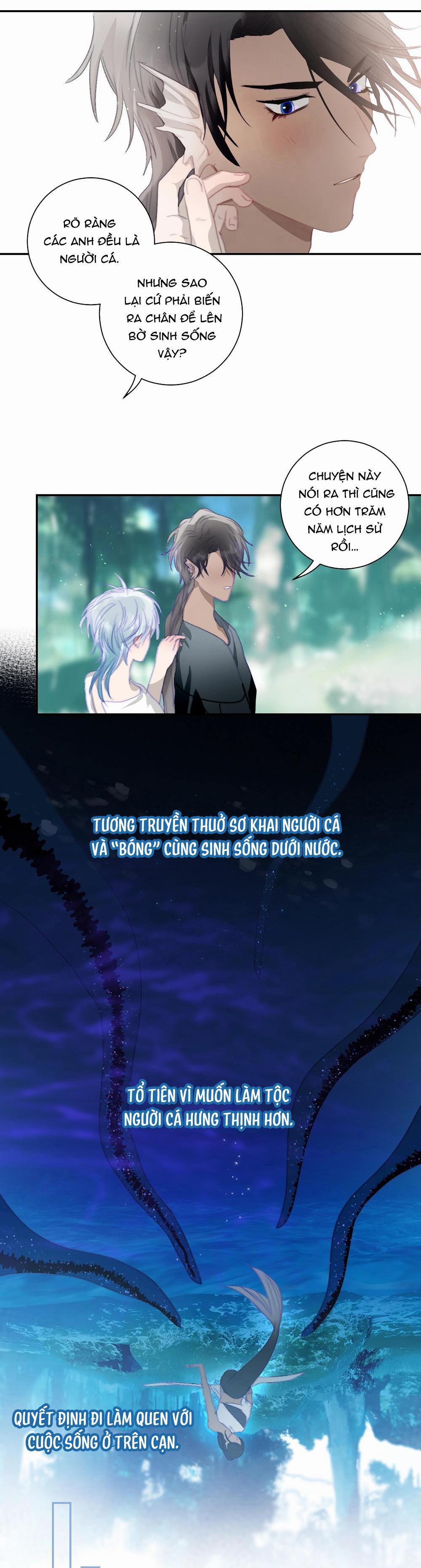 Quanh Năm Có Cá 31 trang 11