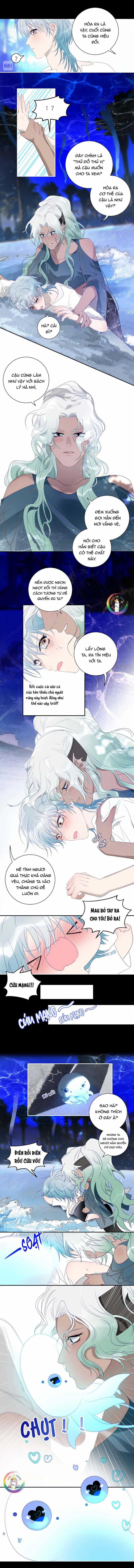 Quanh Năm Có Cá 37 trang 4