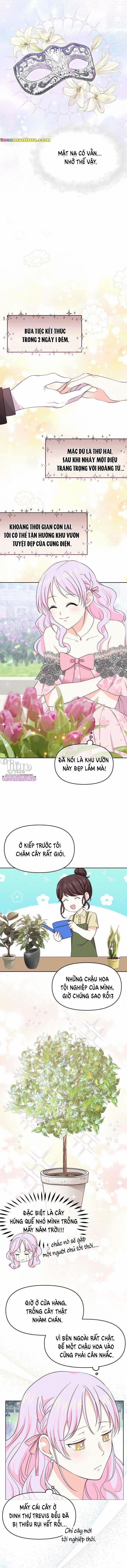 Quay Về Quá Khứ Mở Tiệm Bánh Kẹo 14 trang 4