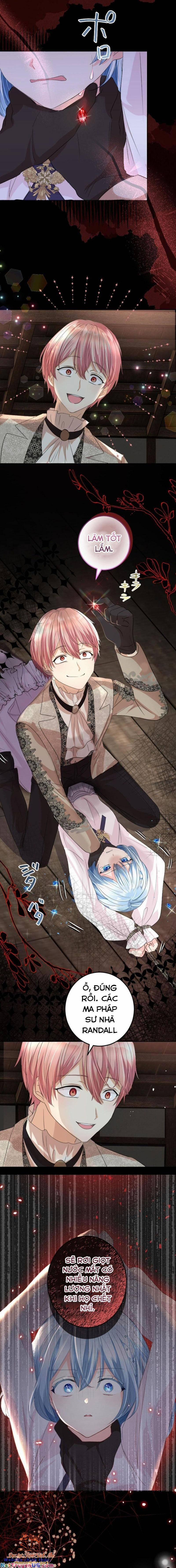 Quý Cô Không Rơi Nước Mắt 12 trang 10