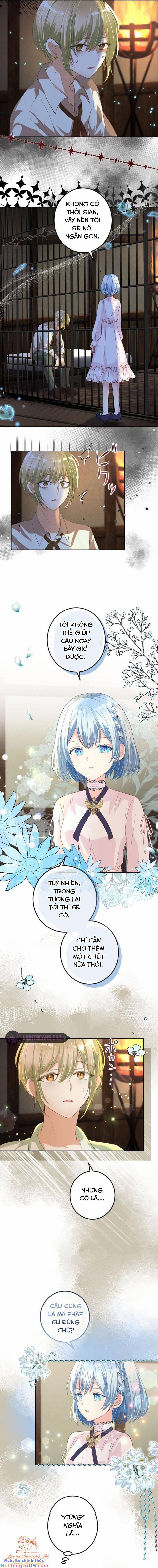 Quý Cô Không Rơi Nước Mắt 12 trang 13